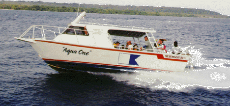 Aqua One